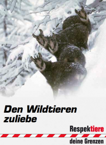 Bild 498