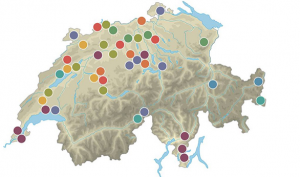 Bild 12