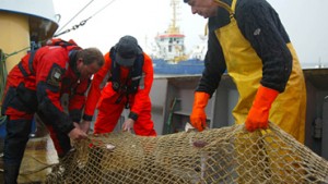 Fischer bei der Arbeit