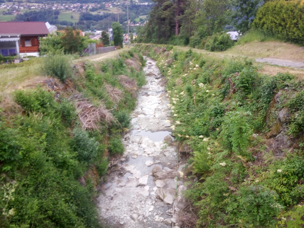 Fischsterben durch Kleinwasserkraft