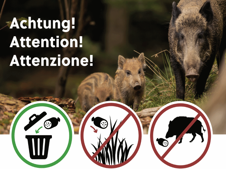 BLV: „Verhindern Sie die Einschleppung der Afrikanischen Schweinepest in die Schweiz“