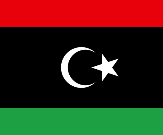 Schweiz nimmt an der 2. Libyen-Konferenz in Berlin teil