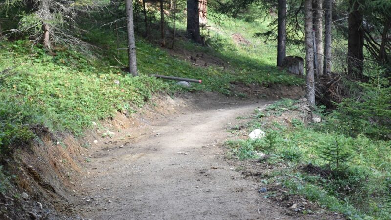 Chapella: Jäger verwechselt Isländer-Pferd mit Reh-Bock