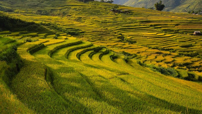 Schweiz und Vietnam wollen ihre Beziehungen weiter vertiefen