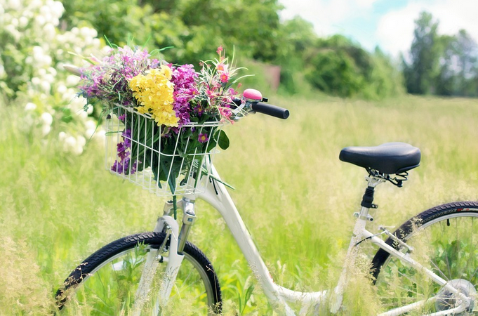 Tipps für die Gesundheit: Das passiert, wenn du jeden Tag Fahrrad fährst