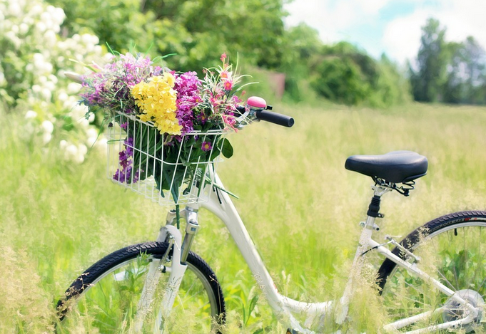 Tipps für die Gesundheit: Das passiert, wenn du jeden Tag Fahrrad fährst