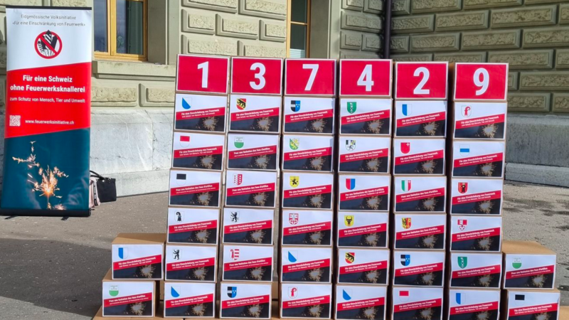Die Feuerwerksinitiative ist zustande-gekommen