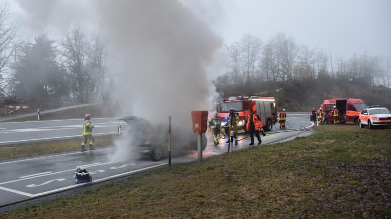 Fahrzeugbrand in Trin