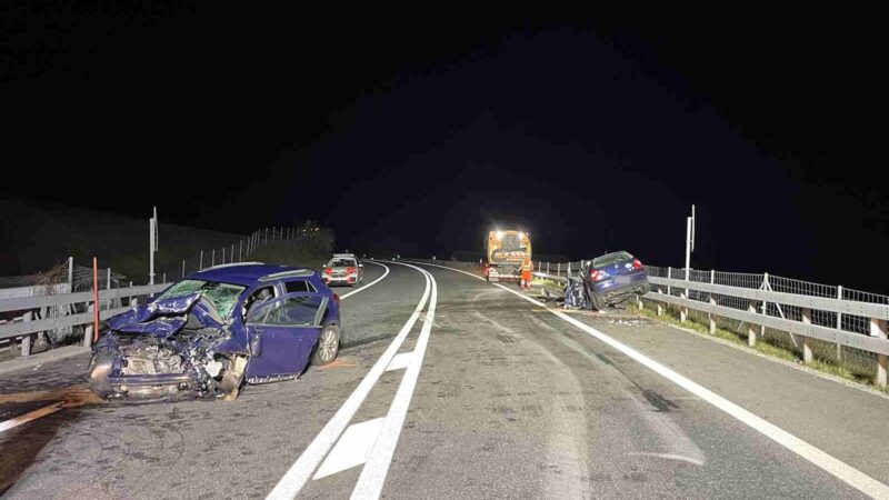 2 Tote, mehrere Verletzte: Schwerer Unfall auf A13