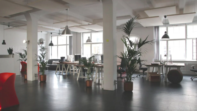 Wohlfühl-Arbeitsplatz: So schaffen Sie eine produktive Büro-Atmosphäre