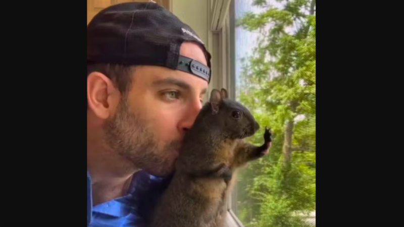 Eichhörnchen Peanut und Waschbär Fred von Beamten getötet