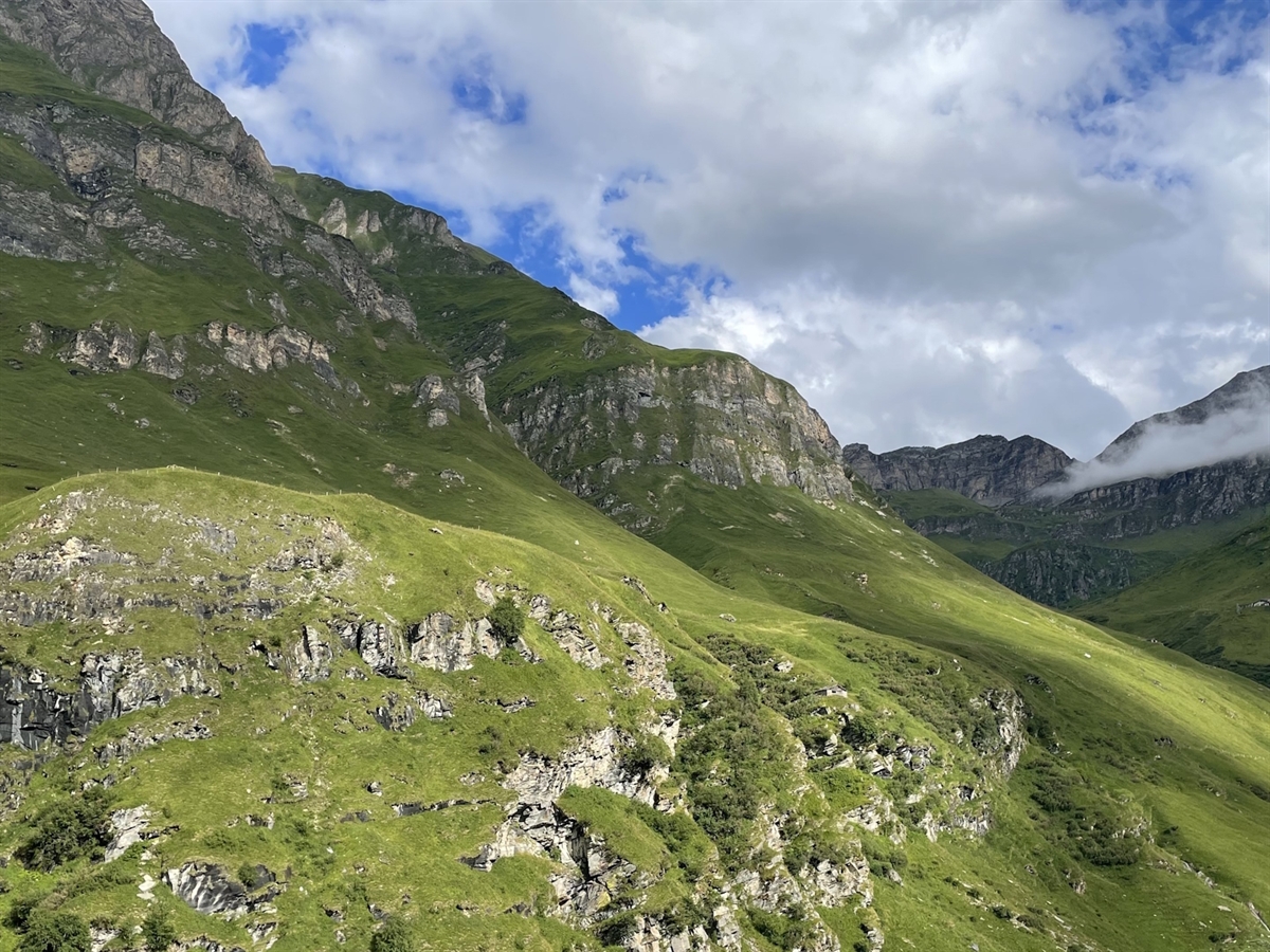 Geißenhirte stürzt in Vals: Tödlicher Bergunfall beim Ziegenhüten
