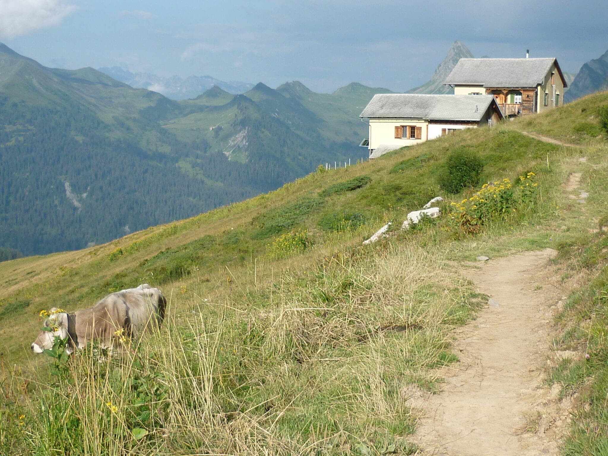 Seewis: Bergunfall am Salaruelkopf – Knochenbrüche und andere schwere Verletzungen