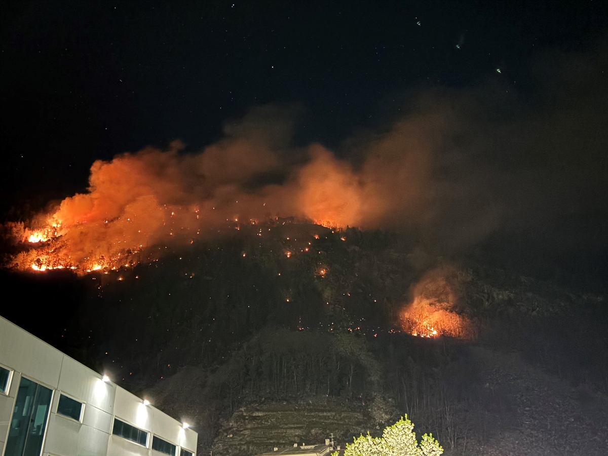 Löscharbeiten in Brüsc (Brusio): Großer Waldbrand
