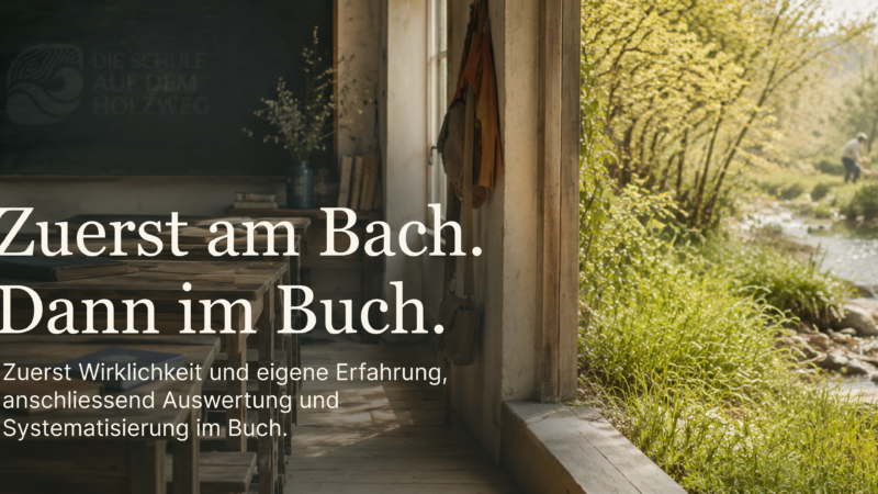 Manifest zur Schule von Lothar Emanuel Kaiser